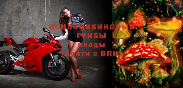 трава Арсеньев
