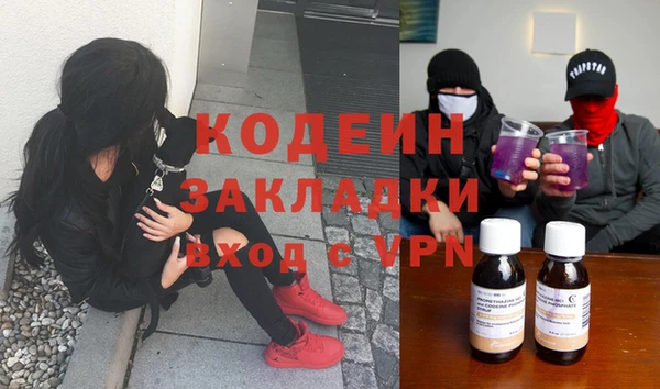 трава Арсеньев