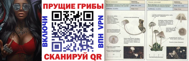 Псилоцибиновые грибы GOLDEN TEACHER Болхов