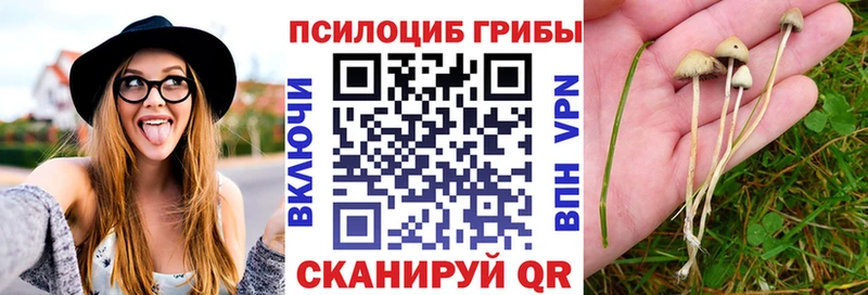 Псилоцибиновые грибы прущие грибы  Болхов 